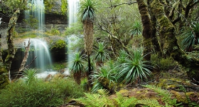 WATERFALL VALLEY, CRADLE MOUNTAIN