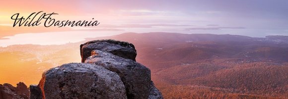 Wild Tasmania Photography Books